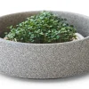 Gemüsesamen|Gemüsepflanzen * Denk Keramische Werkstätten Anzuchtschale für Microgreens