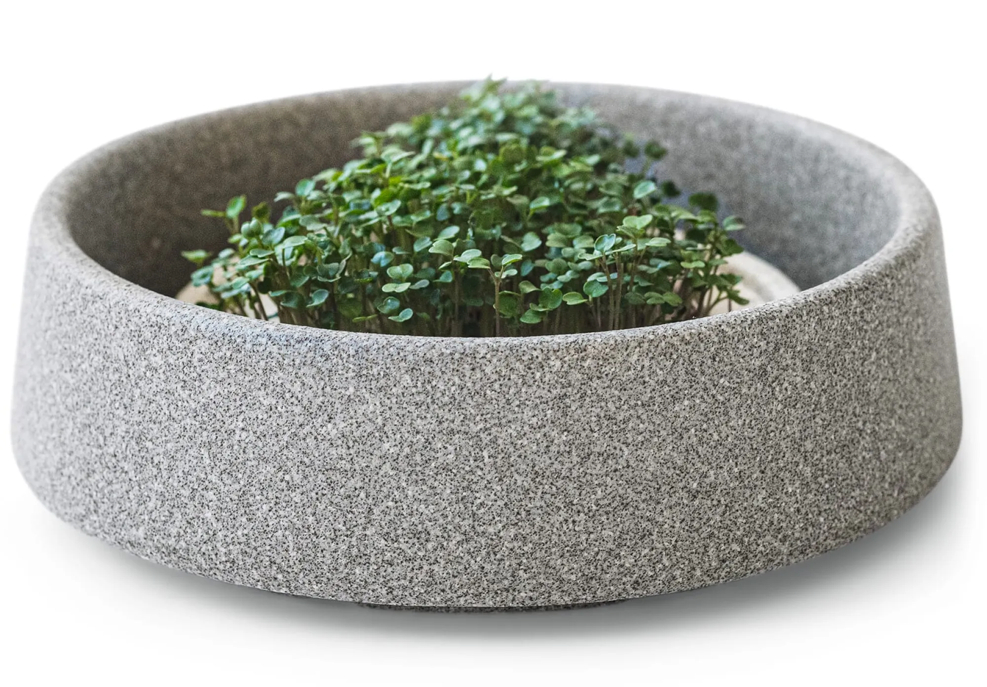 Gemüsesamen|Gemüsepflanzen * Denk Keramische Werkstätten Anzuchtschale für Microgreens