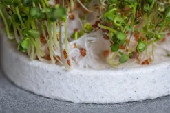 Gemüsesamen|Gemüsepflanzen * Denk Keramische Werkstätten Anzuchtschale für Microgreens