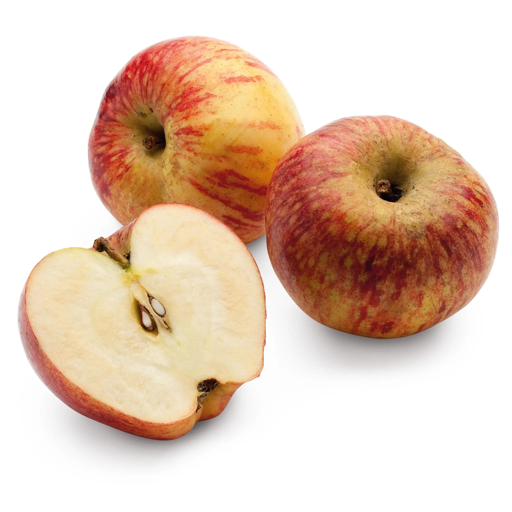 Obstgehölze * Manufactum Apfel für Allergiker
