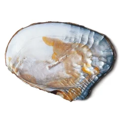 Schmuck * Ménard Armband Süßwasserperlen