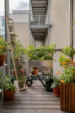 Pflanzenvermehrung|Hochbeete * Herstera Garden Balkonhochbeet verzinkt rollbar