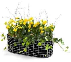 Blumenbänke & -Kästen|Pflanzgefäße * Korbo Balkonkasten
