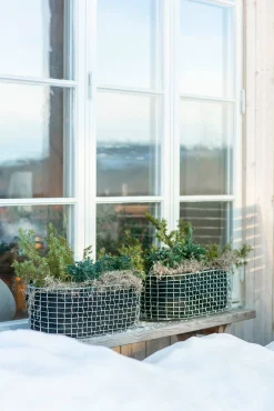 Blumenbänke & -Kästen|Pflanzgefäße * Korbo Balkonkasten