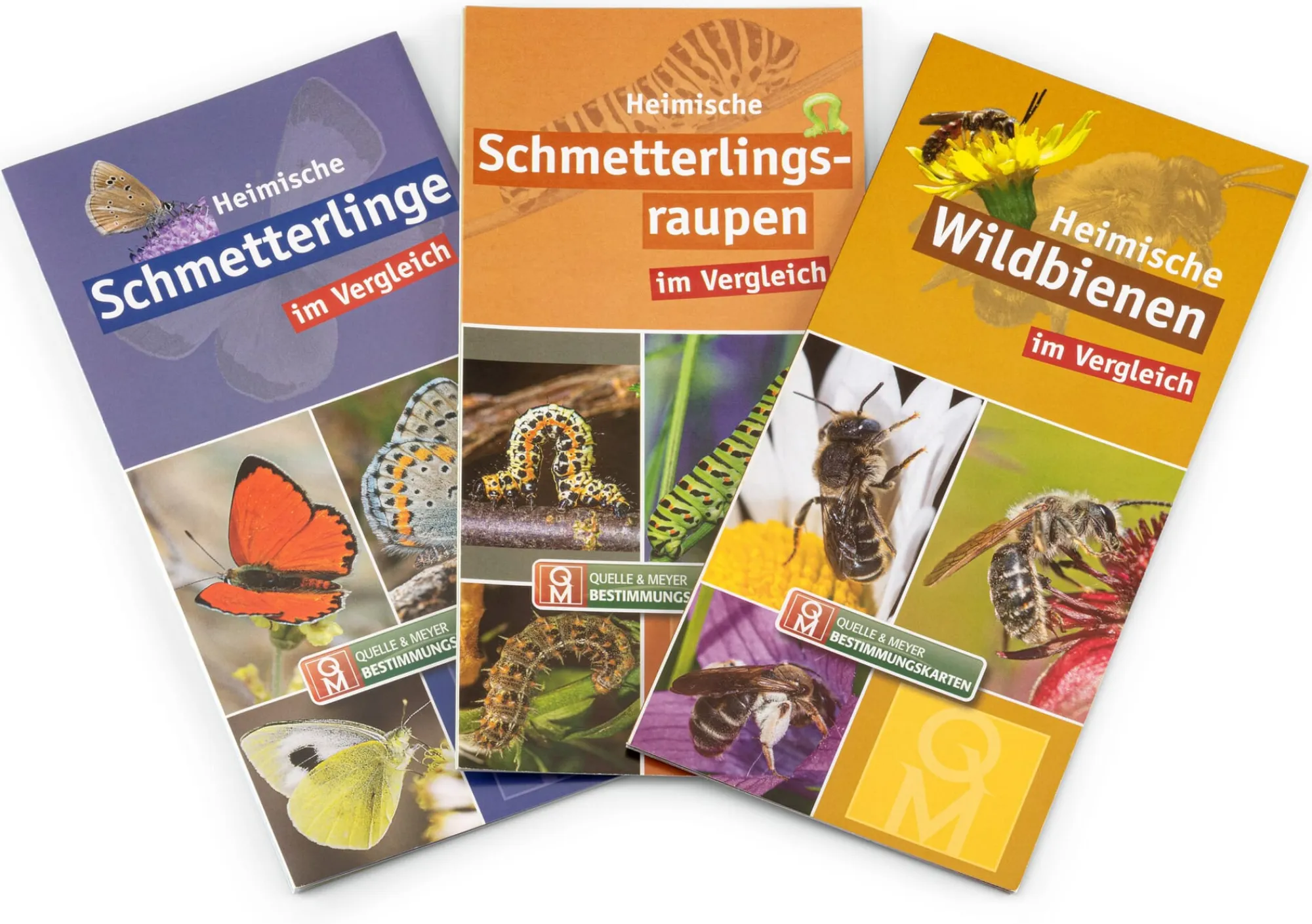 Garten & Natur|Kinderbücher * Quelle & Meyer Verlag Bestimmungskarten Insekten (3 Stück)