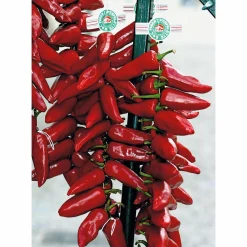Gewürze * GP Pays Basque Bio-Piment d’Espelette
