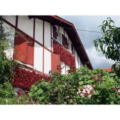 Gewürze * GP Pays Basque Bio-Piment d’Espelette