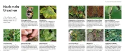 Garten & Natur|Ratgeber * Kosmos Verlag Bist du noch zu retten?