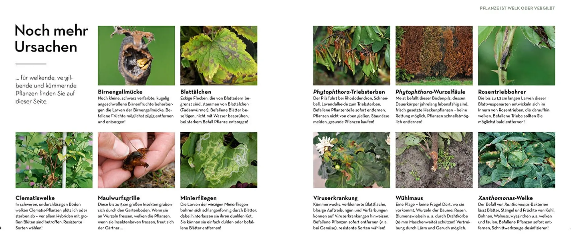 Garten & Natur|Ratgeber * Kosmos Verlag Bist du noch zu retten?