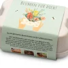 Blumensamen * Blossombs Blumenkugeln im Geschenkkarton