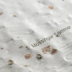 Blumensamen * Dürr Samen Blumensaatteppich Mössinger Sommer