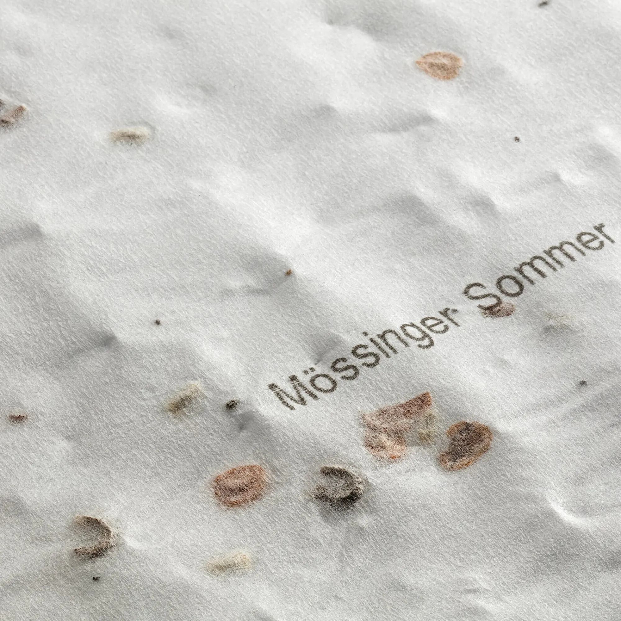 Blumensamen * Dürr Samen Blumensaatteppich Mössinger Sommer