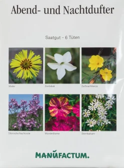 Blumensamen * Manufactum Blumensamen Abend- und Nachtdufter