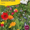 Blumensamen * Samen-Fetzer Blumensamenmischung Gönninger Sommerpracht