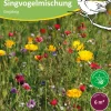 Blumensamen * Samen-Fetzer Blumensamen Mössinger Singvogelmischung