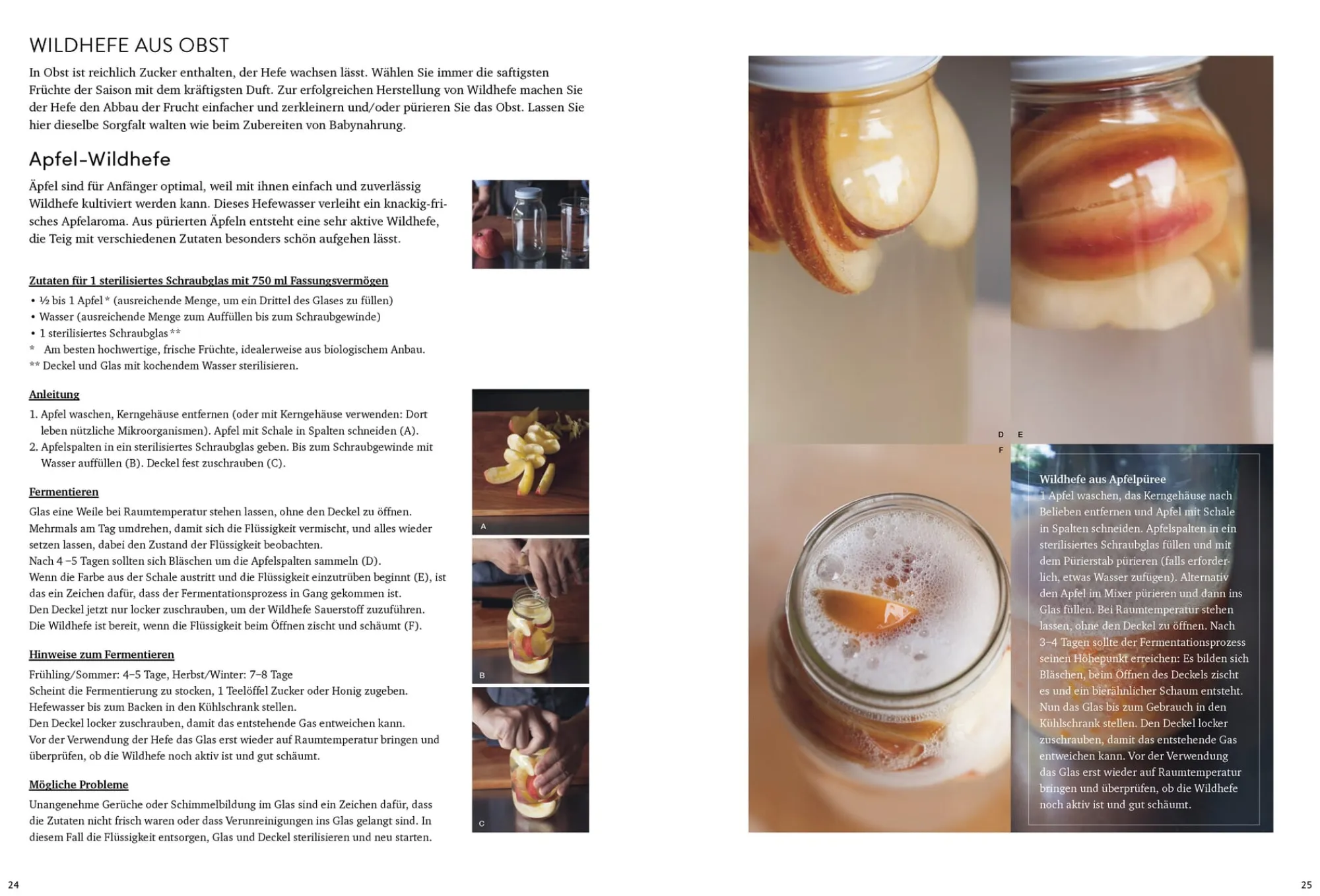Kochen & Backen * Ulmer Verlag Brot backen mit wilden Hefen