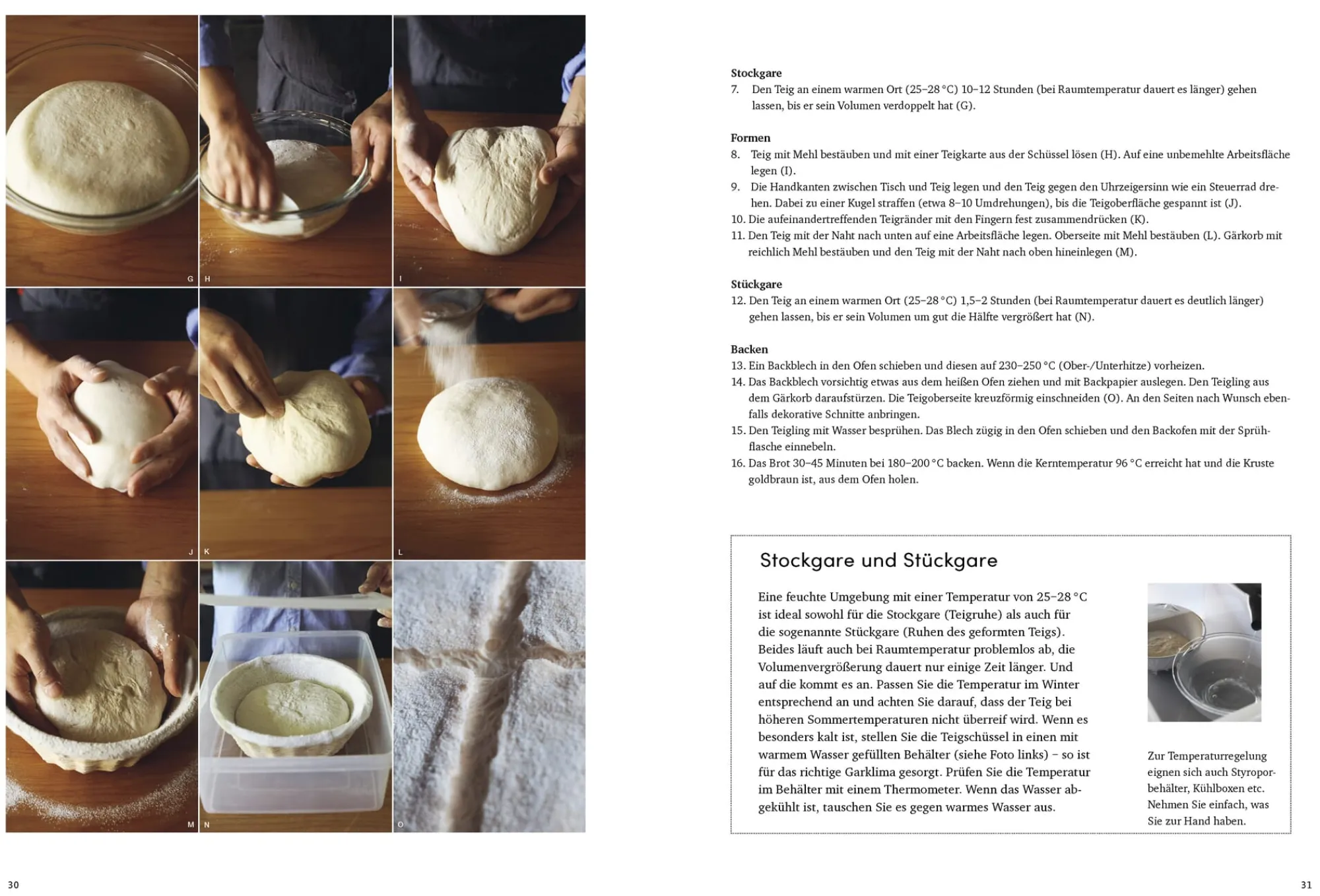 Kochen & Backen * Ulmer Verlag Brot backen mit wilden Hefen