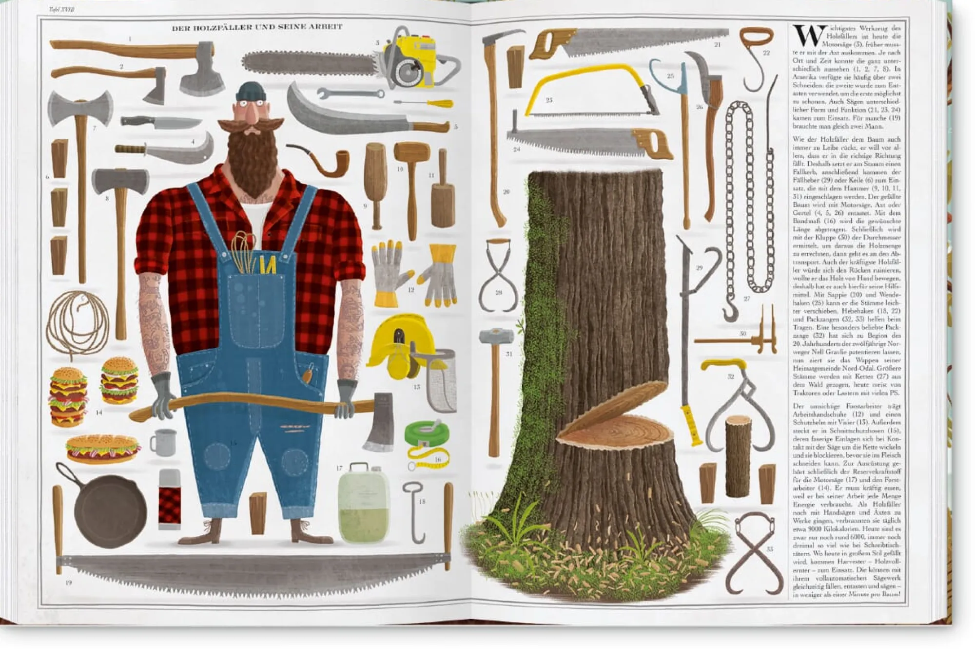 Garten & Natur|Kinderbücher * Gerstenberg Verlag Bäume