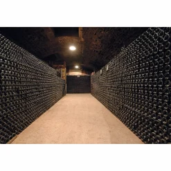 Sekt|Weine * Veuve Fourny & Fils Champagner Rosé Brut