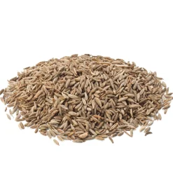 Gewürze * Manufactum Cumin