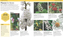 Garten & Natur|Gartenbücher * Dorling Kindersley Verlag Das Bienen Buch