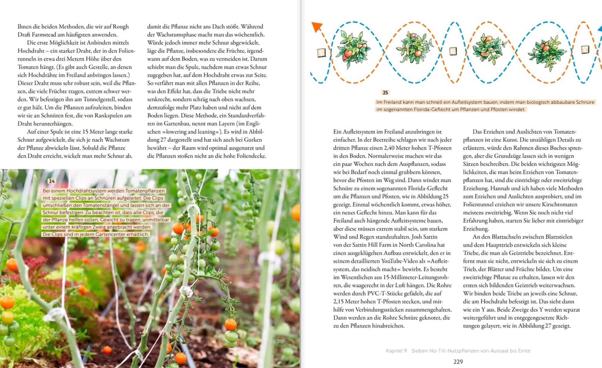 Garten & Natur|Ratgeber * Oekom Verlag Das große Boden-Handbuch