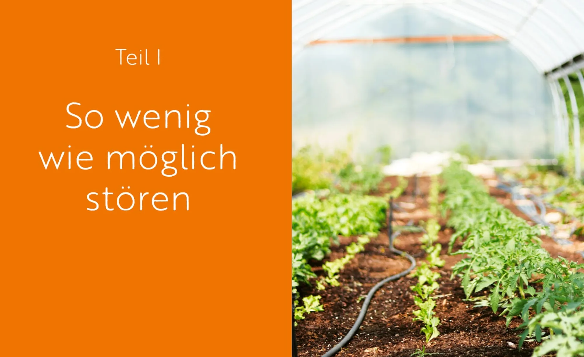 Garten & Natur|Ratgeber * Oekom Verlag Das große Boden-Handbuch