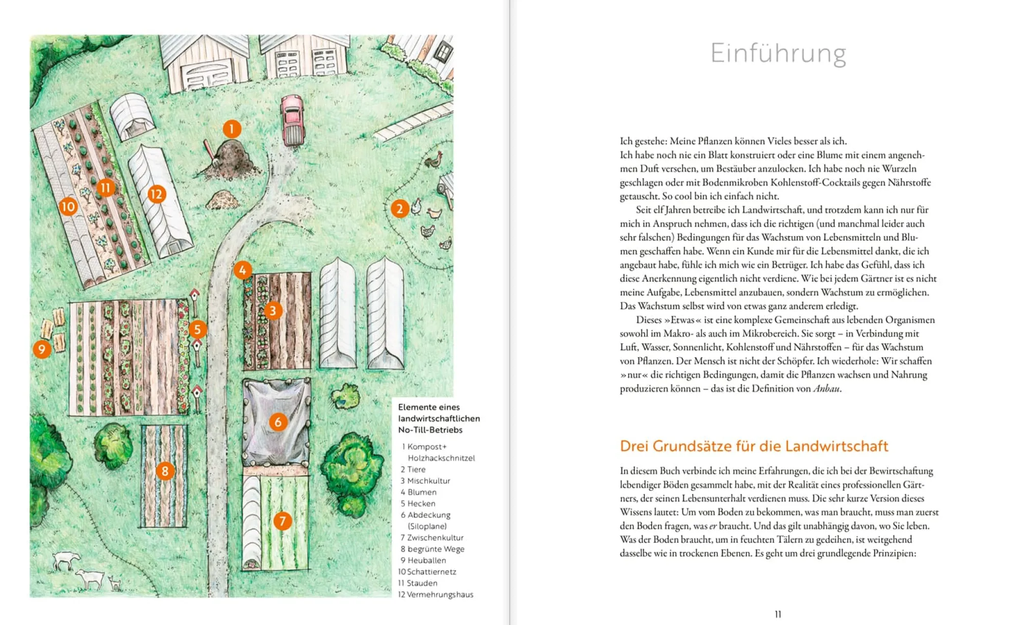 Garten & Natur|Ratgeber * Oekom Verlag Das große Boden-Handbuch