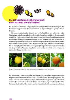 Sachbücher * Stadelmann Verlag Das große Buch für die gesunde Haut