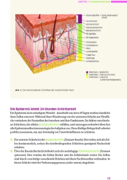 Sachbücher * Stadelmann Verlag Das große Buch für die gesunde Haut