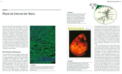 Ratgeber * AT Verlag Das grosse Netz