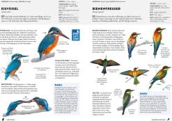 Garten & Natur|Ratgeber * Kosmos Verlag Das NABU-Vogelbuch