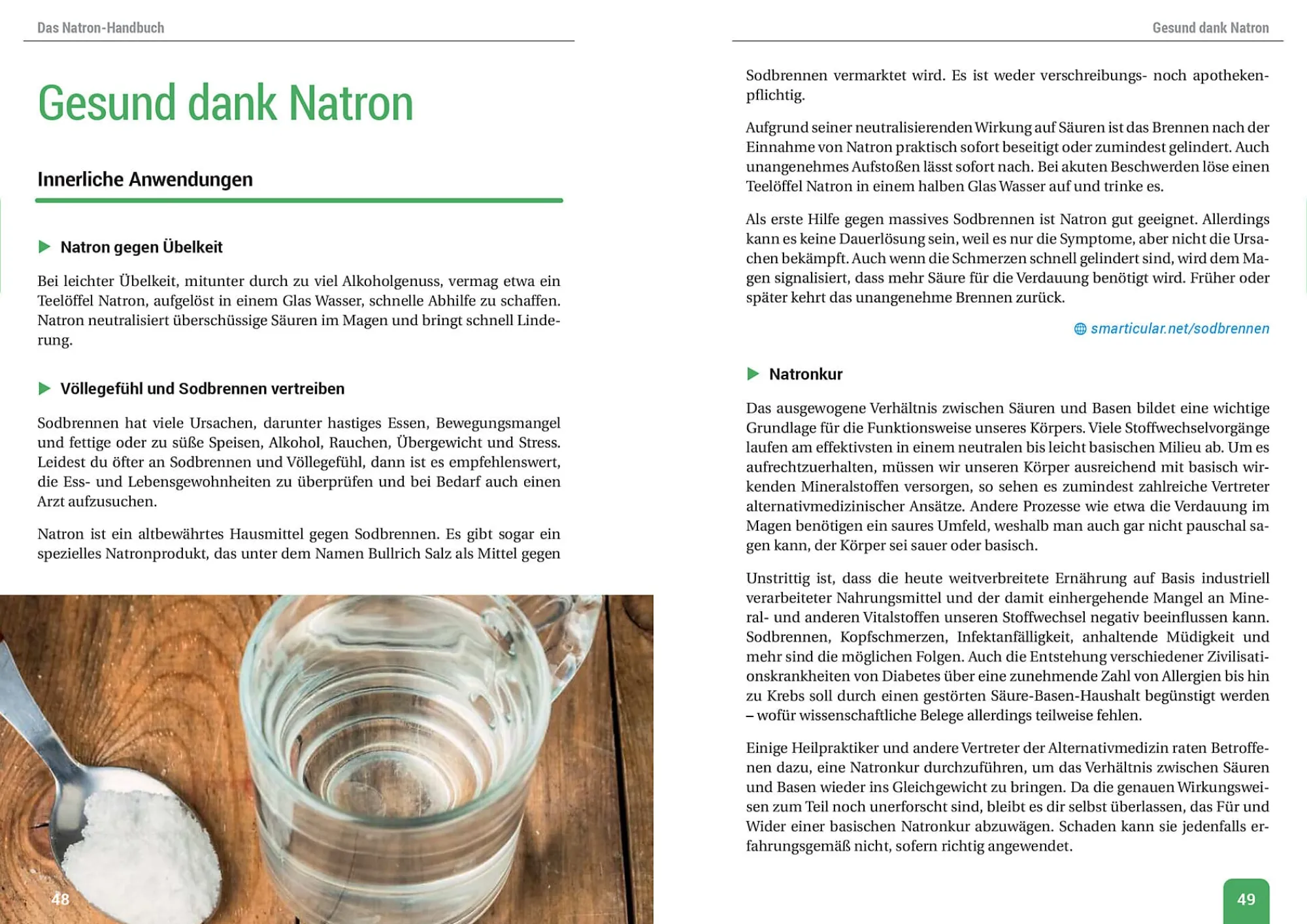 Sachbücher * smarticular Das Natron-Handbuch