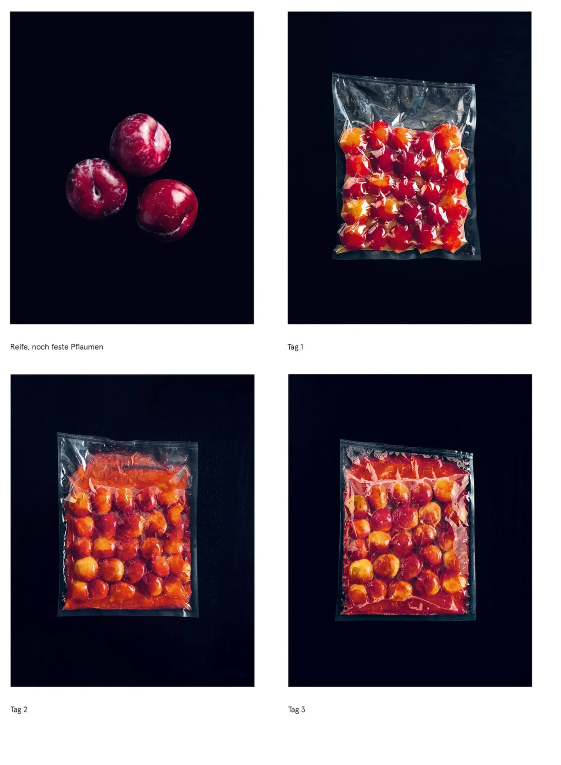 Kochen & Backen * Verlag Antje Kunstmann Das Noma-Handbuch Fermentation