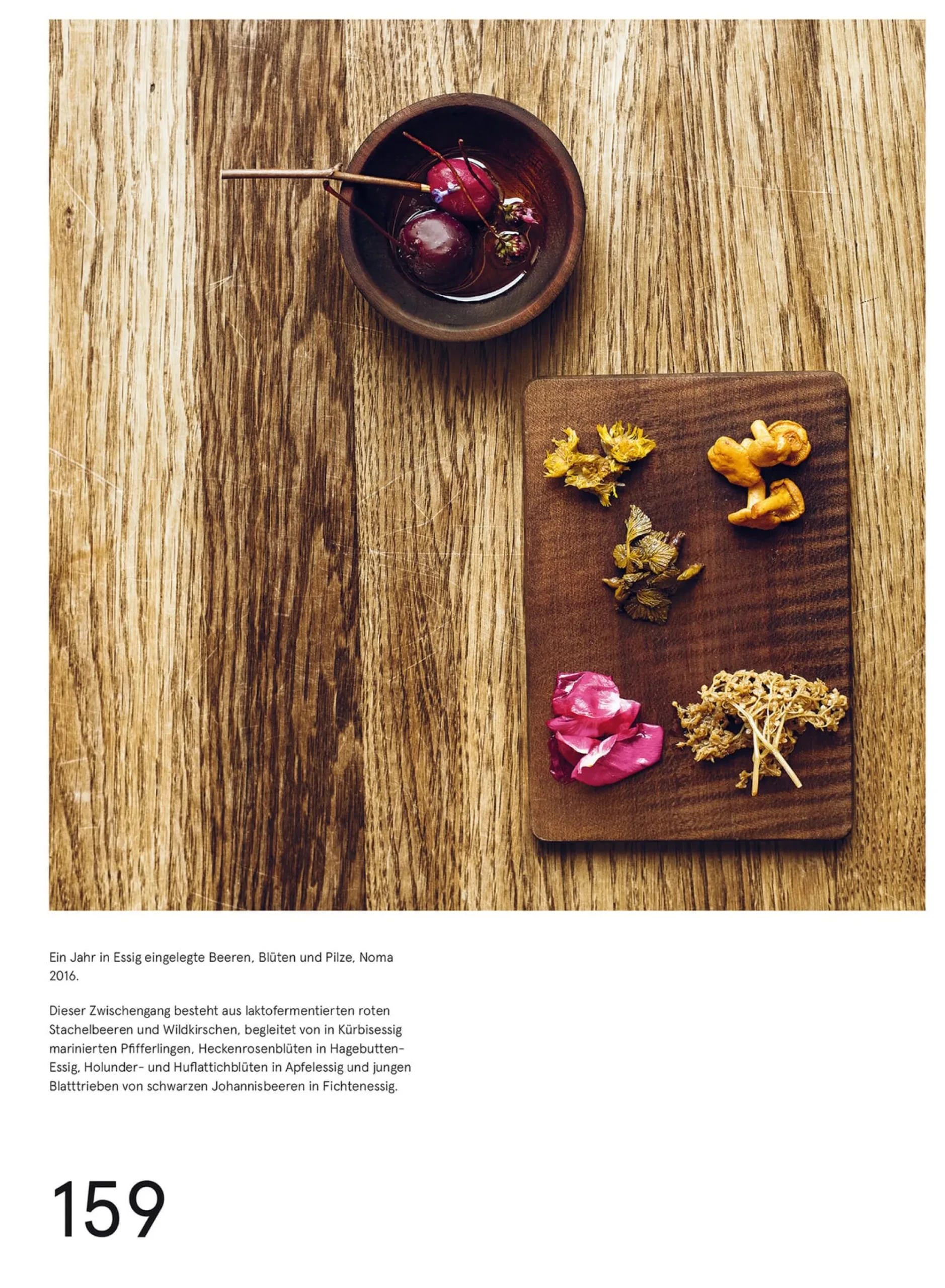 Kochen & Backen * Verlag Antje Kunstmann Das Noma-Handbuch Fermentation