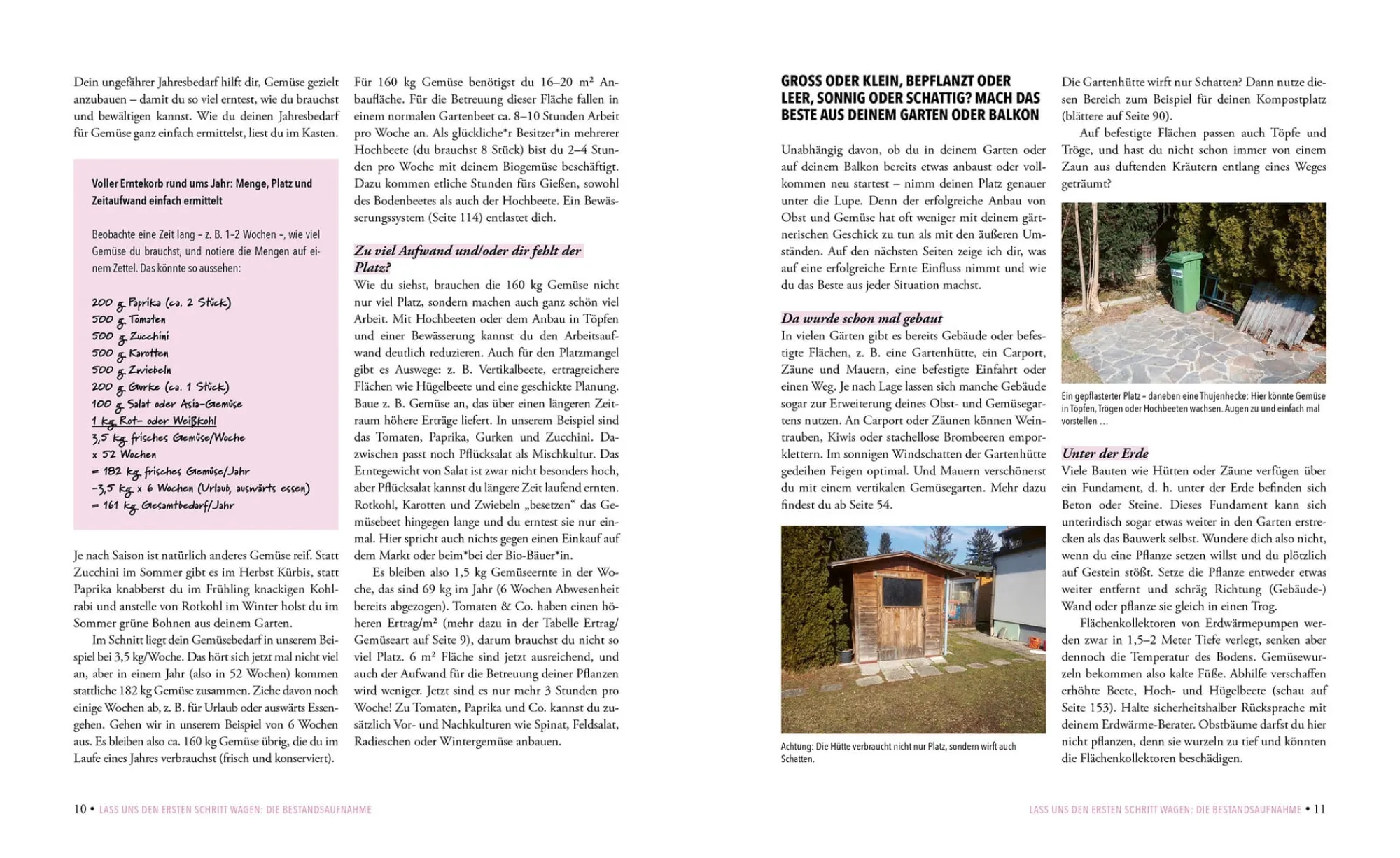 Garten & Natur|Gartenbücher * Löwenzahn Verlag Das phänomenale Erntebeet