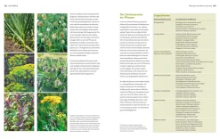 Garten & Natur|Ratgeber * Gräfe und Unzer Verlag Der Biogarten - Das Original