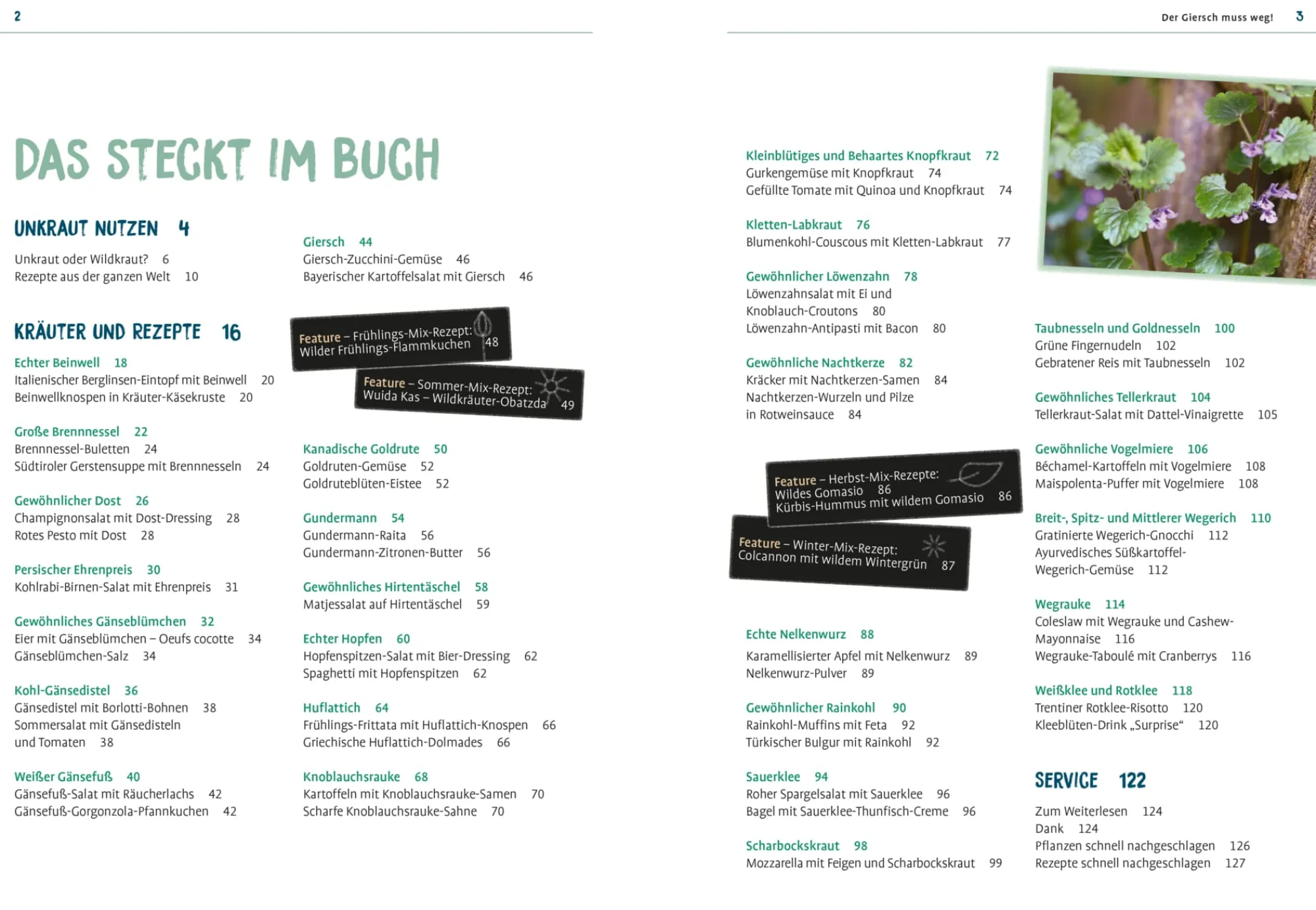 Sachbücher * Ulmer Verlag Der Giersch muss weg!