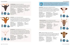 Ratgeber * Dorling Kindersley Verlag Der Käse-Atlas
