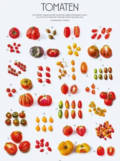 Kochen & Backen|Sachbücher * Christian Verlag Die Gourmet-Bibel Italien