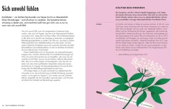 Garten & Natur|Ratgeber * Dorling Kindersley Verlag Die pflanzliche Hausapotheke