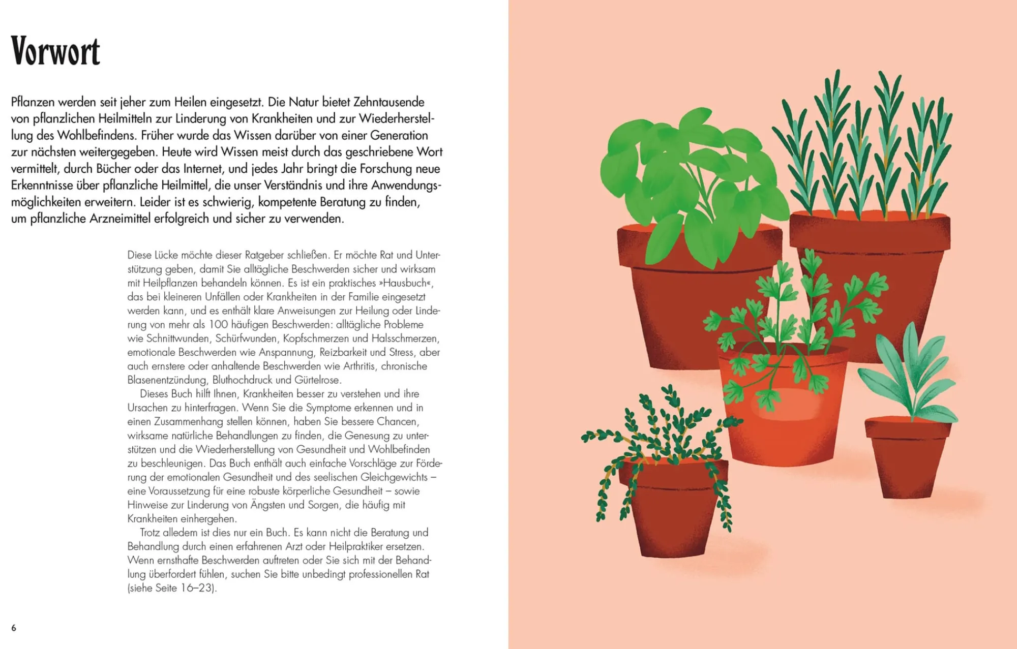 Garten & Natur|Ratgeber * Dorling Kindersley Verlag Die pflanzliche Hausapotheke