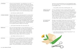 Garten & Natur|Ratgeber * Dorling Kindersley Verlag Die pflanzliche Hausapotheke