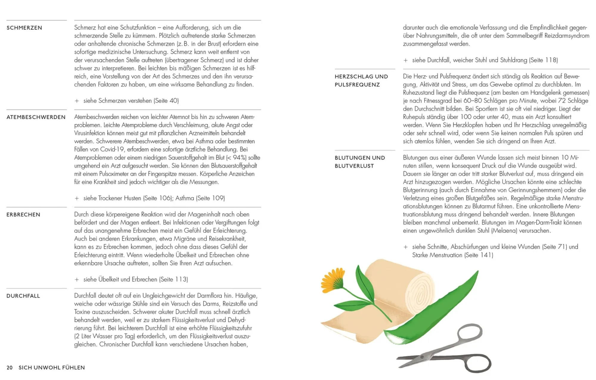 Garten & Natur|Ratgeber * Dorling Kindersley Verlag Die pflanzliche Hausapotheke