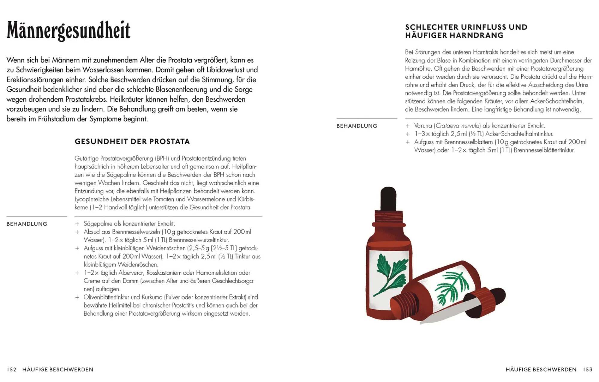 Garten & Natur|Ratgeber * Dorling Kindersley Verlag Die pflanzliche Hausapotheke