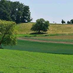 Garten & Natur|Ratgeber * AT Verlag Die Walnuss