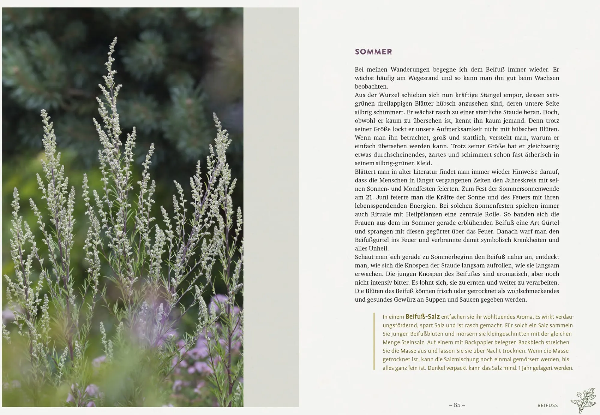 Garten & Natur|Ratgeber * Ulmer Verlag Die wilden Neun