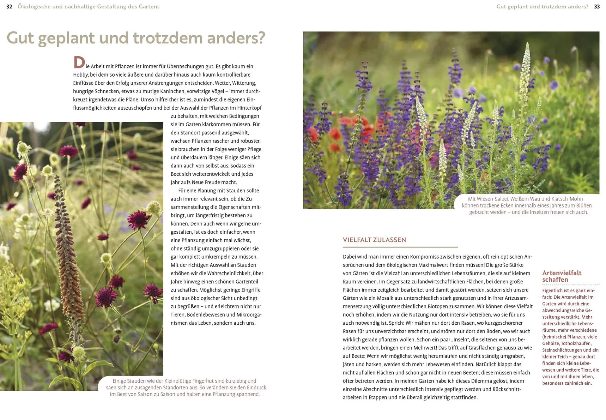 Garten & Natur|Ratgeber * Ulmer Verlag Echte Hitzeprofis