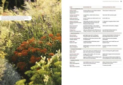Garten & Natur|Ratgeber * Ulmer Verlag Echte Hitzeprofis
