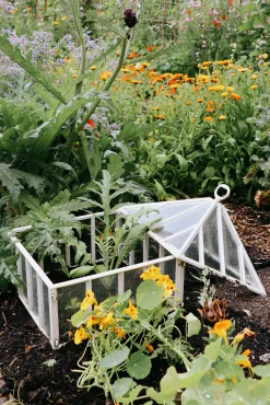 Gewächshäuser * Claverton Cloches Englische Frühbeetglocke